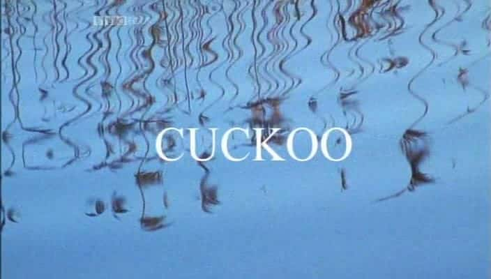 ¼Ƭ/Cuckoo-Ļ