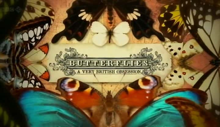 ¼ƬһǳӢĳ/Butterflies: A Very British Obsession-Ļ