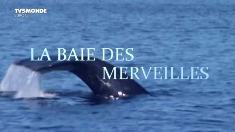 ¼Ƭ漣/La baie des merveilles-Ļ