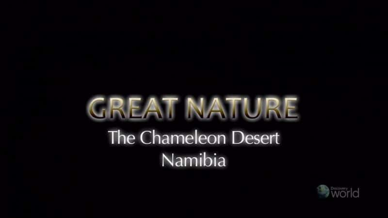 ¼ƬɫɳĮױ/The Chameleon Desert: Namibia-Ļ