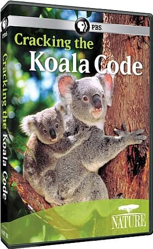 ¼Ƭƽ⿼/Cracking the Koala Code-Ļ