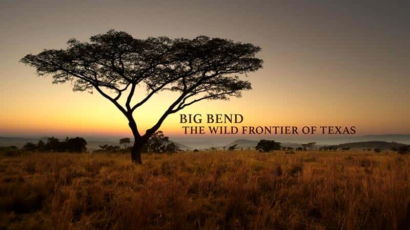 ¼Ƭ󱾵£¿˹ݵĻҰ߽/Big Bend: The Wild Frontier of Texas-Ļ