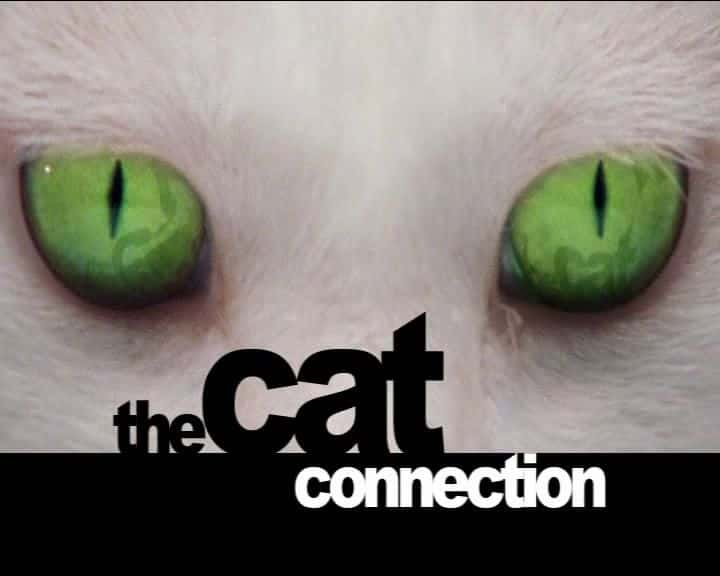 ¼Ƭèϵ/The Cat Connection-Ļ