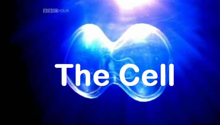 ¼Ƭϸ/The Cell-Ļ