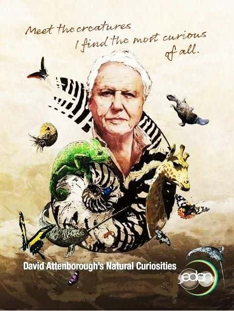 ¼ƬյȻ/Attenborough's Natural Curiosities-Ļ