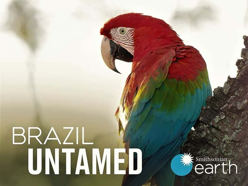 ¼Ƭδһ/Brazil Untamed: Series 1-Ļ