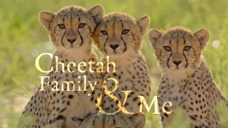 ¼ƬԱ/Cheetah Family and Me-Ļ