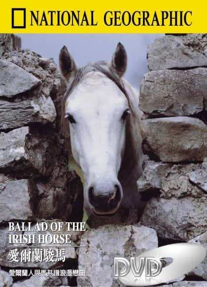 ¼Ƭĸҥ/Ballad of the Irish Horse-Ļ