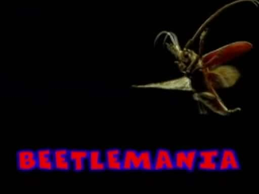 ¼Ƭ׳/Beetlemania-Ļ