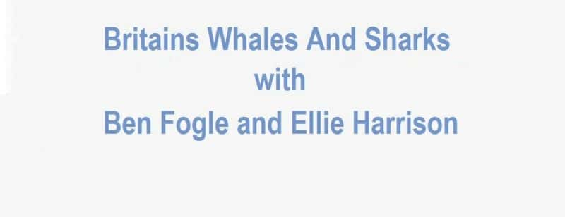 ¼ƬӢľ㣺һ/Britains Whales and Sharks: Series 1-Ļ