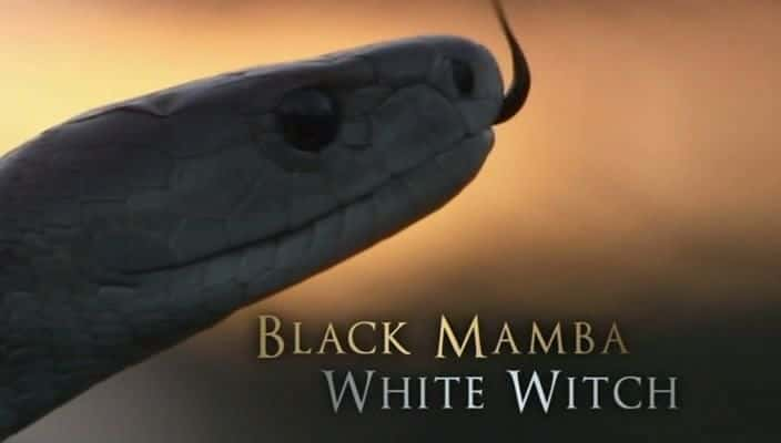 ¼ƬͣŮ/Black Mamba, White Witch-Ļ