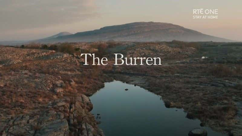 ¼Ƭ׵ʯ֮/The Burren: Heart of Stone-Ļ