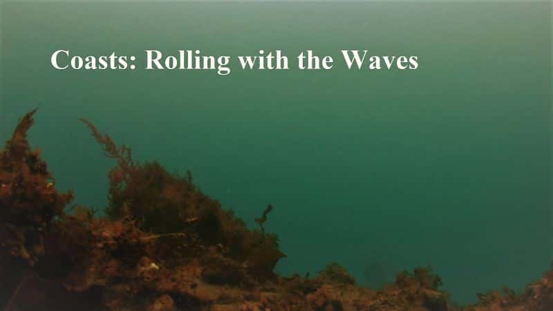 ¼Ƭߣ벨һ/Coasts: Rolling with the Waves-Ļ