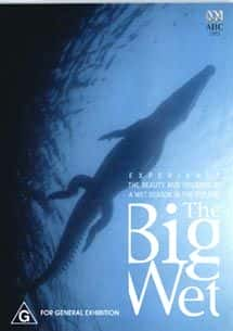 ¼Ƭʪ/The Big Wet-Ļ