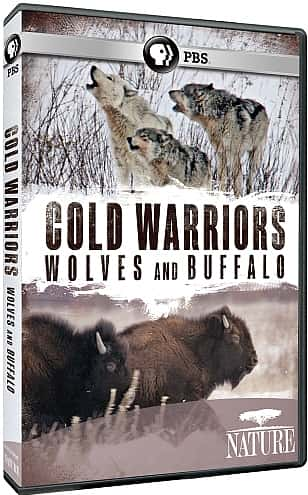 ¼ƬսʿǺˮţ/Cold Warriors: Wolves and Buffalo-Ļ