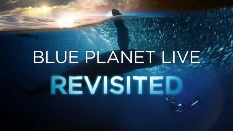 ¼Ƭطɫ/Blue Planet Revisited-Ļ