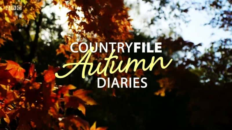 ¼Ƭ嵵＾ռ/Countryfile Autumn Diaries-Ļ