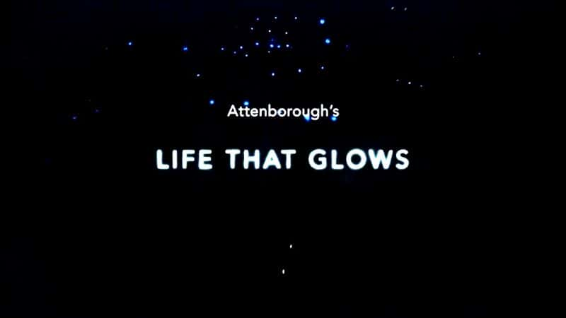 ¼Ƭյķ/Attenboroughs Life That Glows-Ļ