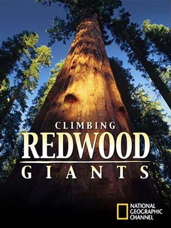 ¼Ƭɼ/Climbing Redwood Giants-Ļ