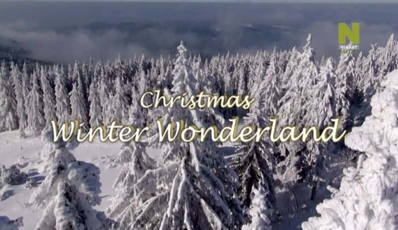 ¼Ƭʥɾ/Christmas Winter Wonderland-Ļ