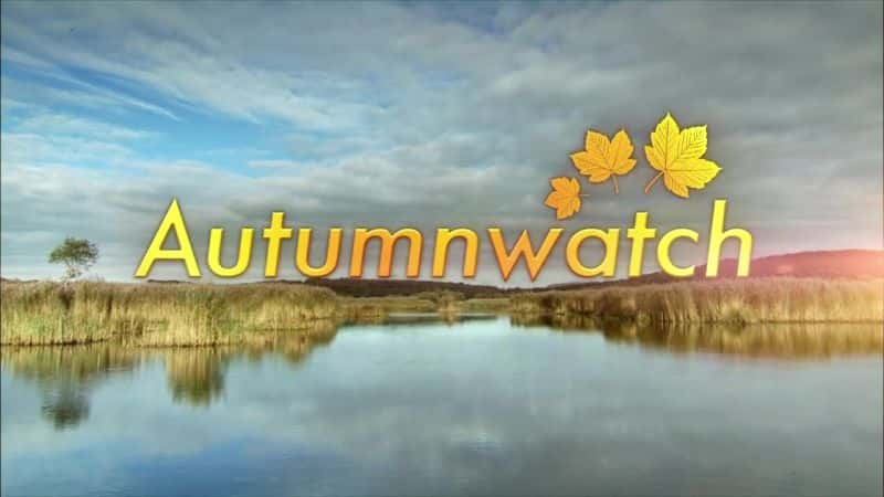 ¼Ƭ2014＾۲/Autumnwatch 2014-Ļ