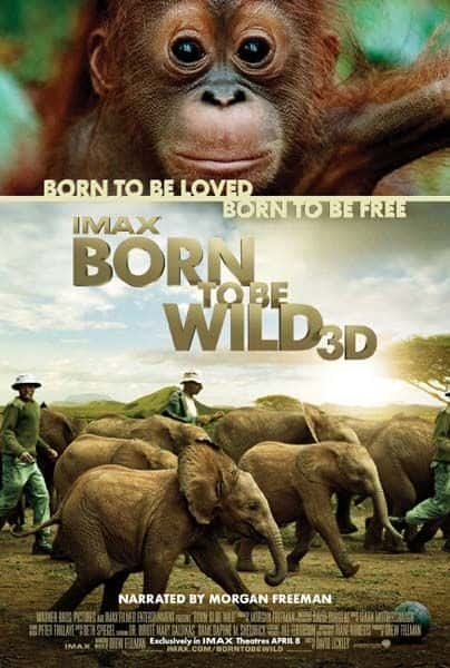 ¼ƬҰ/Born to Be Wild-Ļ