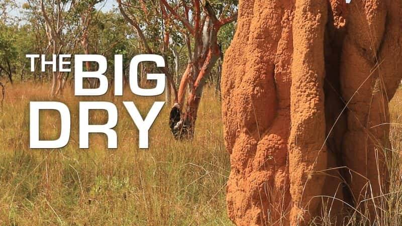 ¼Ƭ󺵣һ/Big Dry: Series 1-Ļ