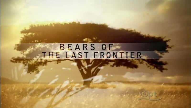 ¼Ƭ߽/Bears of the Last Frontier-Ļ