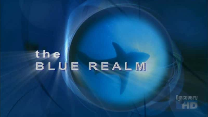 ¼Ƭɫ/The Blue Realm-Ļ