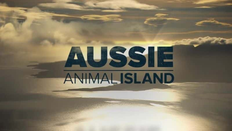 ¼Ƭ޶ﵺ/Aussie Animal Island-Ļ