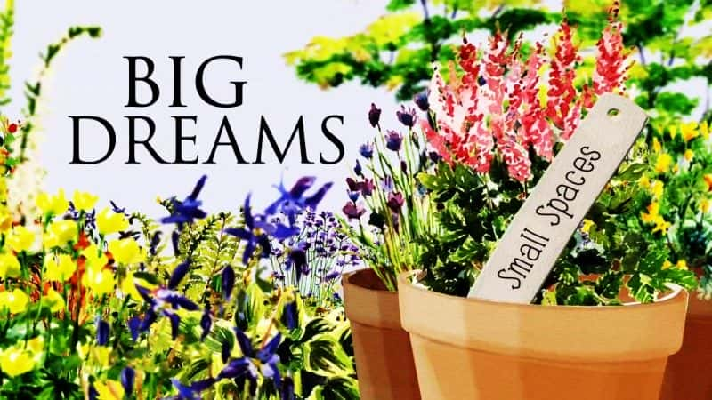 ¼ƬСռ䣺ڶ/Big Dreams Small Spaces: Series 2-Ļ