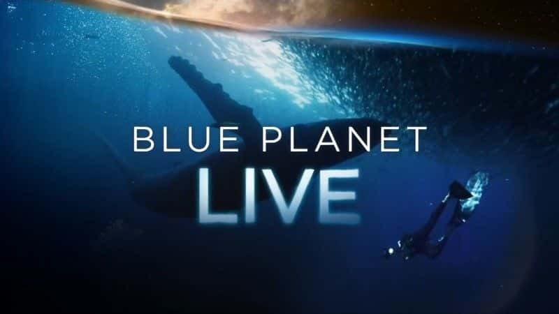 ¼Ƭɫֱ2019/Blue Planet Live 2019-Ļ