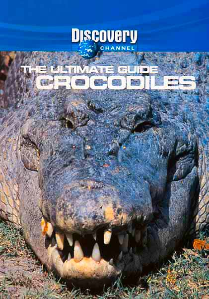 ¼Ƭ/Crocodiles-Ļ