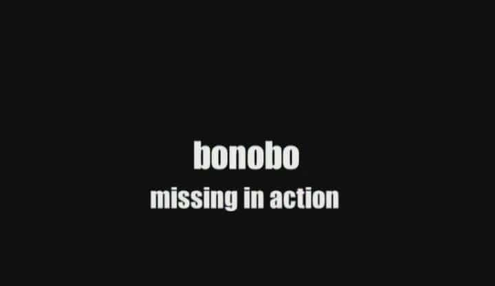 ¼Ƭɣʧ/Bonobo: Missing in Action-Ļ