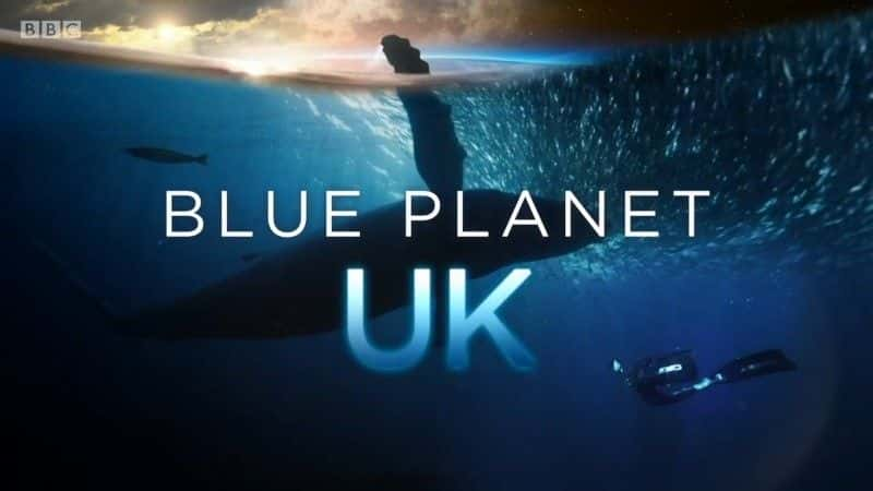 ¼ƬɫӢ2019/Blue Planet UK 2019-Ļ