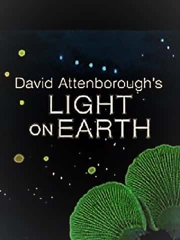 ¼ƬǱĵ֮/David Attenborough's Light on Earth-Ļ