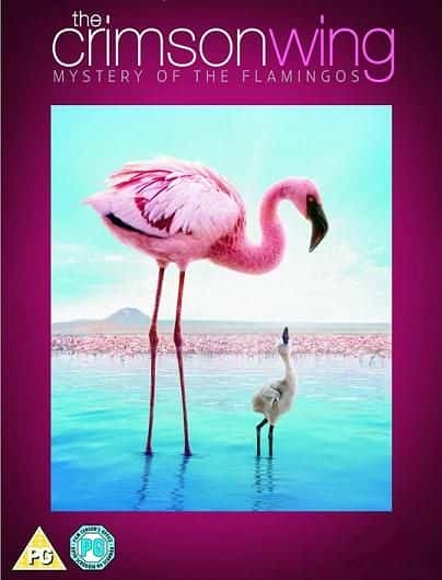 ¼Ƭ֮-֮/The Crimson Wing - Mystery of the Flamingos-Ļ