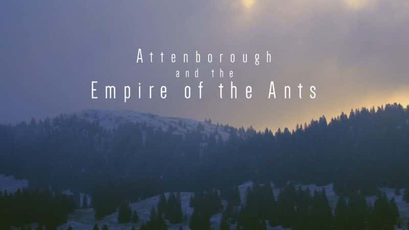 ¼Ƭϵ۹/Attenborough and the Empire of the Ants-Ļ