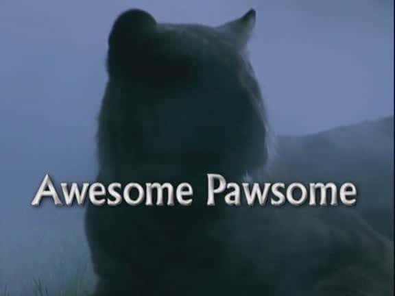 ¼Ƭצ/Awesome Pawsome-Ļ