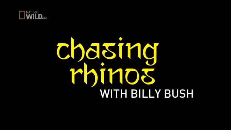 ¼Ƭ׷Ϭţ/Chasing Rhinos-Ļ