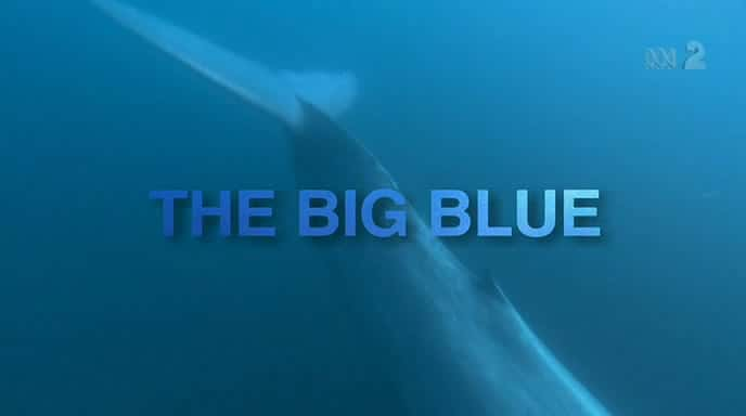 ¼Ƭɫ/The Big Blue-Ļ