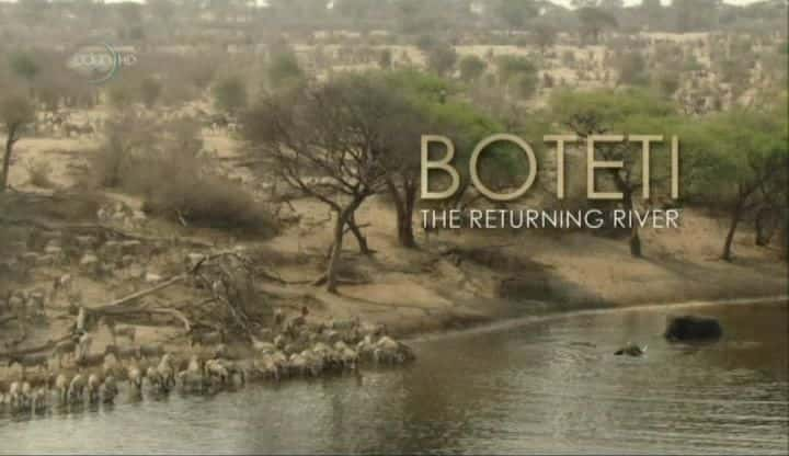 ¼Ƭ̩٣ع֮/Boteti: The Returning River-Ļ