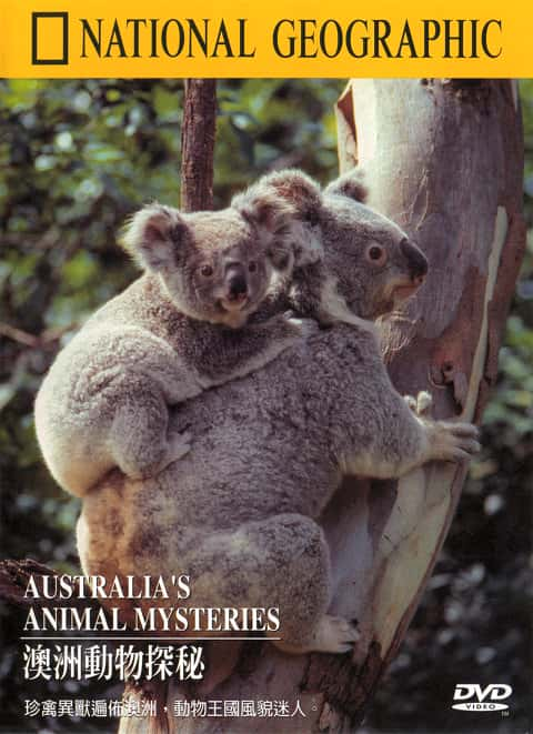 ¼ƬĴǵĶ֮/Australia's Animal Mysteries-Ļ