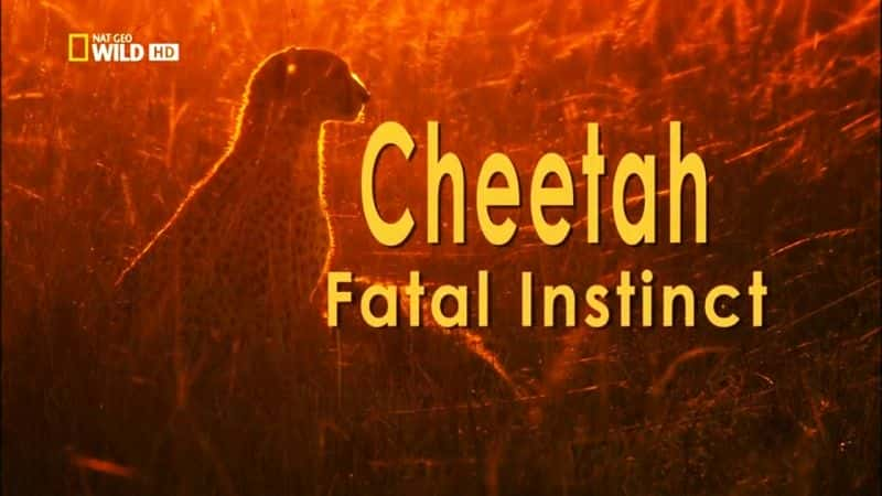 ¼ƬԱ/Cheetah: Fatal Instinct-Ļ