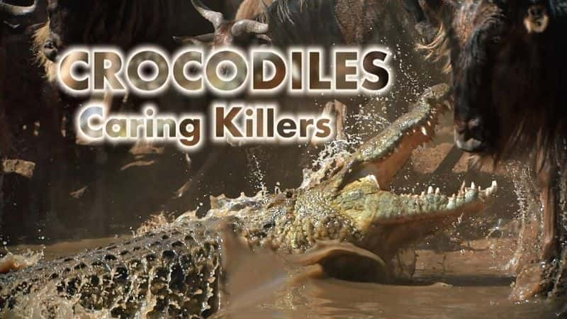 ¼Ƭ㣺̵ɱ/Crocodiles: Caring Killers-Ļ