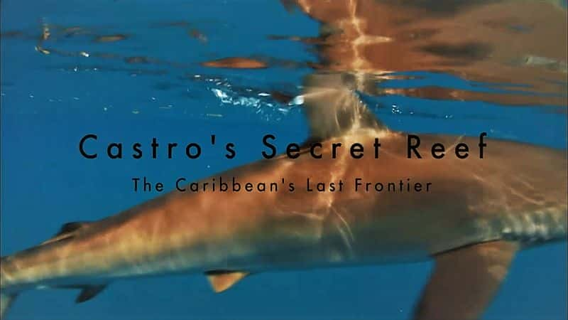 ¼Ƭ˹޵ܽ/Castro's Secret Reef-Ļ