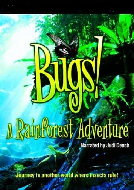 ¼Ƭӣһȴֵð/Bugs A Rainforest Adventure-Ļ