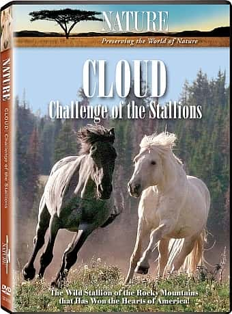 ¼Ƭƣۿս/Cloud: Challenge of the Stallions-Ļ