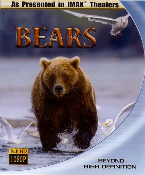 ¼Ƭ/Bears-Ļ