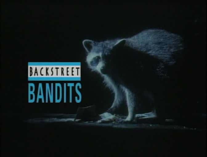 ¼Ƭǿ/Backstreet Bandits-Ļ